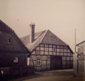 Altes Storchennest 1930er.jpg