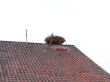 20130411_153622.JPG