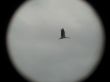 20130414_132813.jpg