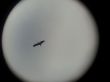 20130414_132957.jpg