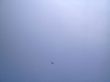 20130421_104322.JPG