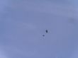 20130421_104555.JPG
