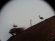 20130421_133514.jpg