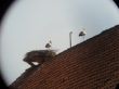 20130421_133640.jpg