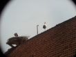 20130421_133738.jpg