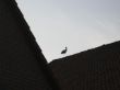 20130503_193744.JPG