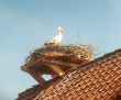 20130412_161647.jpg