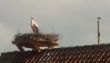 20130412_161824.jpg