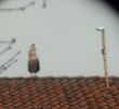 20130414_121106.jpg
