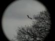 20130414_131936.jpg