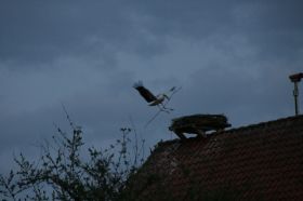 IMG_1244.JPG