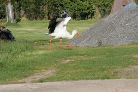 IMG_1276.JPG