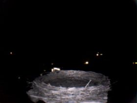 storchnest_2014_01_13_17_44_51.jpg